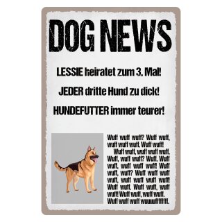 Blechschild "Dog News Leesie heiratet" 30 x 40 cm Dekoschild Hunde
