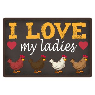 Blechschild "I love my ladies" 40 x 30 cm Dekoschild Haustier