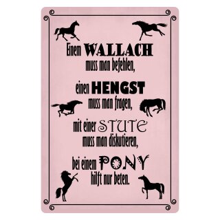 Blechschild "Pferde Wallach Hengst Stute Pony" 30 x 40 cm Dekoschild Pferde