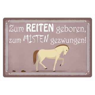 Blechschild "Zum Reiten geboren" 40 x 30 cm Dekoschild Pferdefan