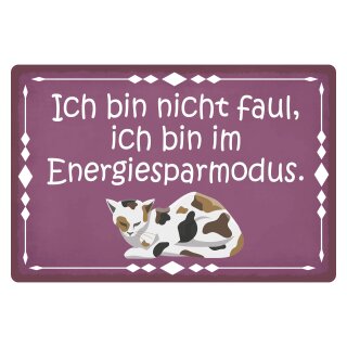 Blechschild "Ich bin nicht faul bin im" 40 x 30 cm Dekoschild Katze