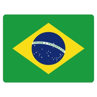 Blechschild "Flagge Brasilien" 40 x 30 cm Dekoschild Länderflagge