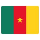 Blechschild "Flagge Kamerun" 40 x 30 cm...