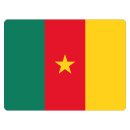 Blechschild "Flagge Kamerun" 40 x 30 cm...