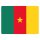 Blechschild "Flagge Kamerun" 40 x 30 cm Dekoschild Nationalflaggen