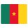 Blechschild "Flagge Kamerun" 40 x 30 cm Dekoschild Nationalflaggen