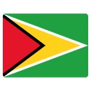 Blechschild "Flagge Guyana" 40 x 30 cm...