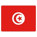 Blechschild "Flagge Tunesien" 40 x 30 cm...