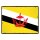 Blechschild "Flagge Brunei Retro" 40 x 30 cm Dekoschild Länderflagge