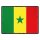 Blechschild "Flagge Senegal Retro" 40 x 30 cm Dekoschild Länderflagge