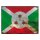 Blechschild "Flagge Burundi Rusty Look" 40 x 30 cm Dekoschild Fahnen