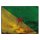 Blechschild "Flagge Französisch-Guayana Rusty Look" 40 x 30 cm Dekoschild Fahnen
