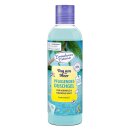 Dresdner Essenz Duschgel Tag am Meer 250 ml