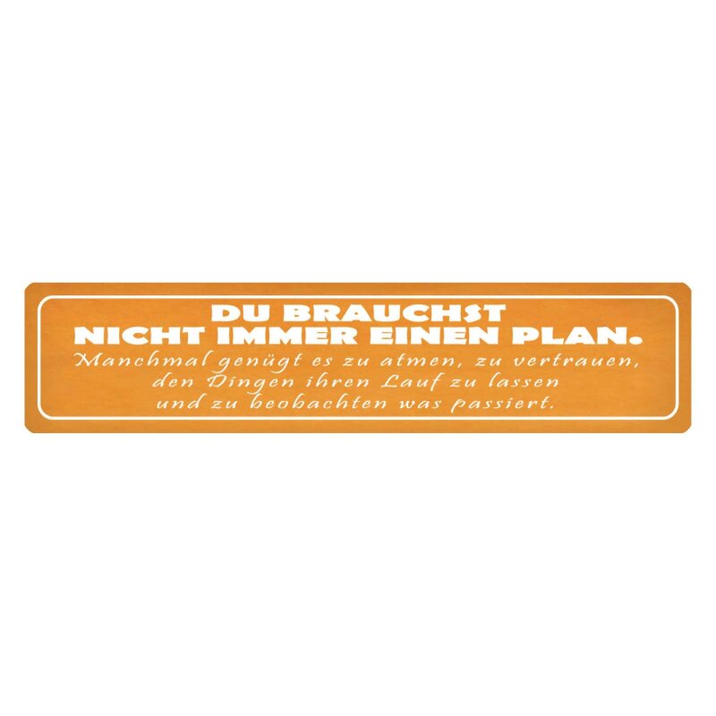 Schild Du brauchst nicht immer Plan, 9,49