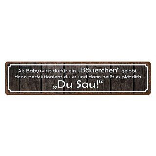 Blechschild "Als Baby für Bäuerchen gelobt" 46 x 10 cm Dekoschild aufstoßen