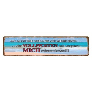 Blechschild "An alle die gerade am Meer sind, Vollpfosten" 46 x 10 cm Dekoschild Freundschaft