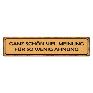 Blechschild "Viel Meinung für wenig Ahnung" 46 x 10 cm Dekoschild Sarkasmus