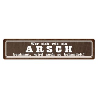 Blechschild "Wer sich wie ein Arsch benimmt" 46 x 10 cm Dekoschild Spruch Vergangenheit