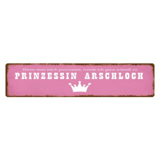 Blechschild "Ich zu Prinzessin Arschloch" 46 x 10 cm Dekoschild Prinzessin