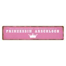 Blechschild "Ich zu Prinzessin Arschloch" 46 x...