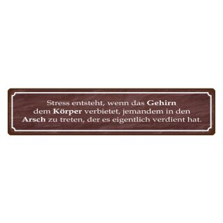 Blechschild "Stress entsteht wenn das Gehirn" 46 x 10 cm Dekoschild Spruch Stress