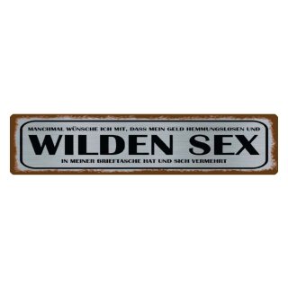 Blechschild "Wünsche ich mir Geld, wilden Sex" 46 x 10 cm Dekoschild Spruch Geldvermehrung