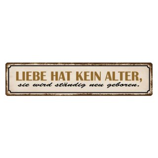 Blechschild "Liebe hat kein Alter sie wird" 46 x 10 cm Dekoschild Beziehung