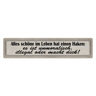 Blechschild "Alles schöne hat einen Haken" 46 x 10 cm Dekoschild unerreichbar