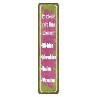 Blechschild "Habe alle meine Sinne beisammen" 10 x 46 cm Dekoschild Zustand