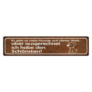 Blechschild "Gibt so viele Hunde, habe schönsten" 46 x 10 cm Dekoschild Spruch Hund