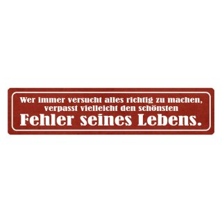 Blechschild "Schönster Fehler seines Lebens verpassen" 46 x 10 cm Dekoschild Meinung