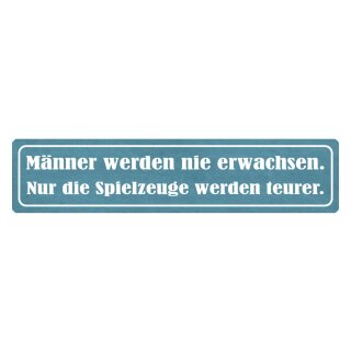 Blechschild "Männer nie erwachsen, Spielzeug teurer" 46 x 10 cm Dekoschild Spielzeug