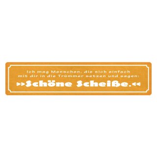 Blechschild "Ich mag Menschen, Trümmer, schöne Scheiße" 46 x 10 cm Dekoschild Freunde