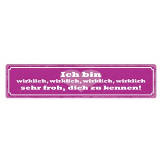 Blechschild "Bin wirklich froh dich zu kennen" 46 x 10 cm Dekoschild Gefühl