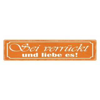 Blechschild "Sei verrückt und liebe es" 46 x 10 cm Dekoschild durchdrehen