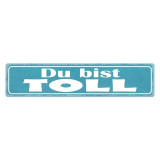 Blechschild "Du bist toll" 46 x 10 cm Dekoschild Hinweis