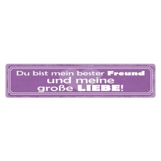 Blechschild "Bester Freund und große Liebe" 46 x 10 cm Dekoschild Freundschaft