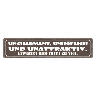 Blechschild "Uncharmant, unhöflich, unattraktiv" 46 x 10 cm Dekoschild Aufzählung