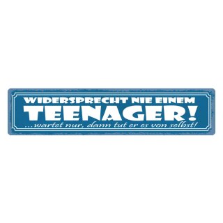 Blechschild "Widersprecht nie Teenager, abwarten" 46 x 10 cm Dekoschild arbeiten