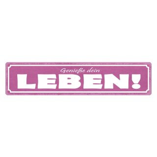 Blechschild "Genieße dein Leben" 46 x 10 cm Dekoschild Hinweis