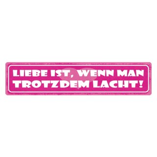 Blechschild "Liebe wenn man trotzdem lacht" 46 x 10 cm Dekoschild Beziehung