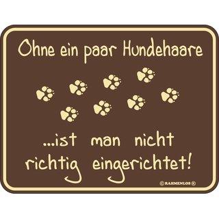 Magnet Türmagnet Hundehaare braun