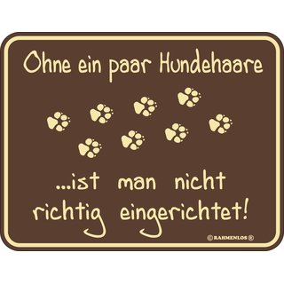 Magnet Türmagnet "Hundehaare" braun