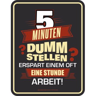 Blechschild mit Motiv/Spruch "5 Minuten dumm stellen"