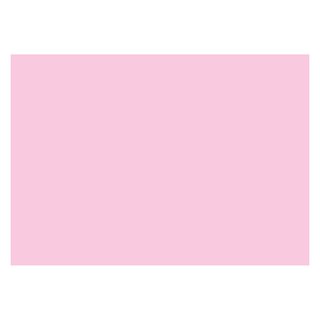 2er Pack Karteikarten DIN A6 quer blanko 2 x 100 Stück rosa