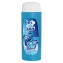 10er Pack badusan Duschbad Frische Brise 10 x 250 ml