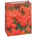 TSI 12er Pack Geschenktüte groß ca. 26 x 13,5 x 32 cm FRÜHLING 15