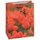 TSI 12er Pack Geschenktüte groß ca. 26 x 13,5 x 32 cm FRÜHLING 15
