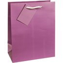TSI 12er Pack Geschenktüte mittel ca. 18 x 10 x 23 cm TRENDFARBEN