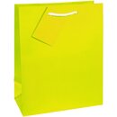 TSI 12er Pack Geschenktüte mittel ca. 18 x 10 x 23 cm TRENDFARBEN